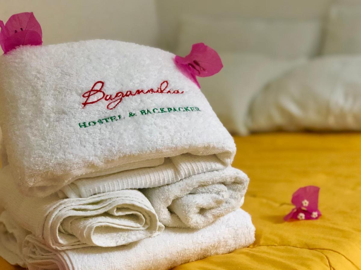 Buganvilia Paracas Buitenkant foto