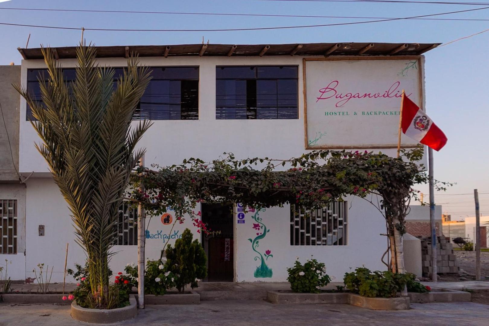 Buganvilia Paracas Buitenkant foto